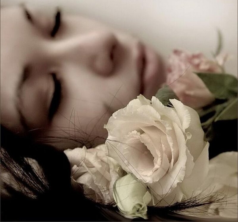 Woman with White Roses — Serene