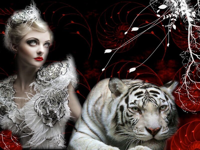 Woman with White Tiger — Black, Dramatic