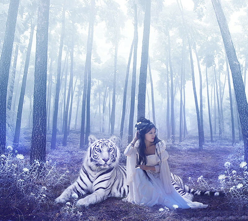 Woman with White Tiger — Serene, Digital Art