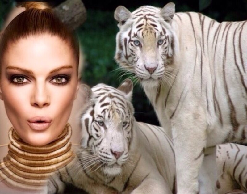 Woman with White Tigers — Dramatic, Photograph