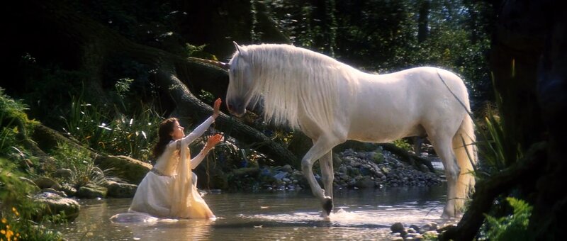 woman with white unicorn in forest