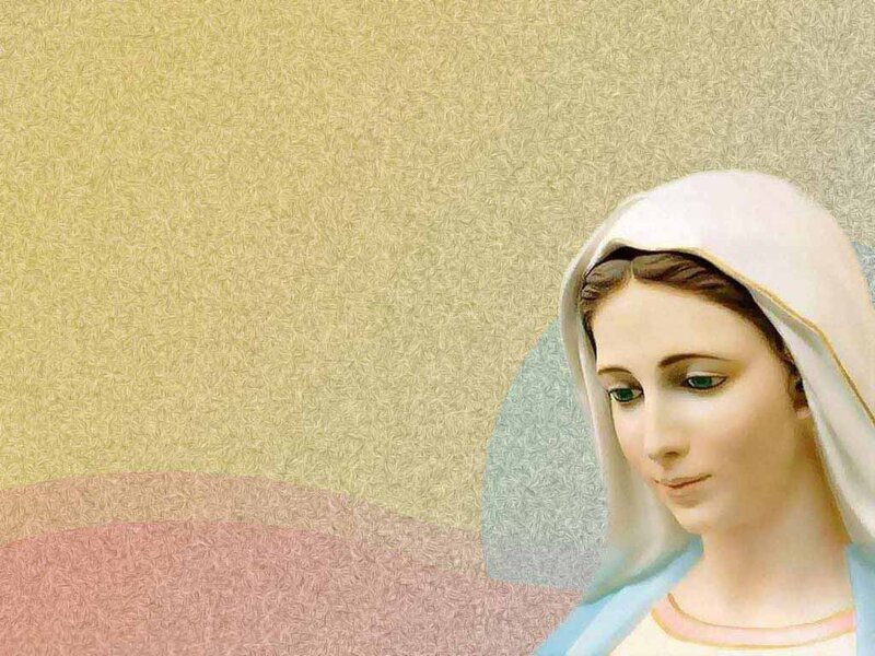Woman with White Veil — Serene