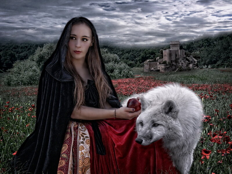 Woman with White Wolf — Black, Dramatic, Digital Art, Black Cloak