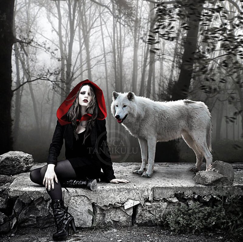 Woman with White Wolf — Black, Dramatic, Digital Art