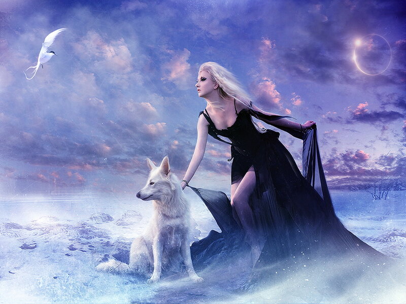 Woman with White Wolf — Blue, Dramatic, Night
