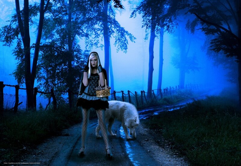 Woman with White Wolf — Blue, Mysterious, Night, Digital Art, Basket, Forest, Black