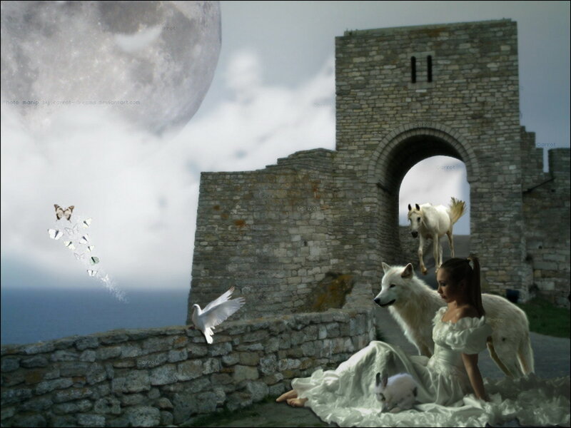 Woman with White Wolf — Dreamy