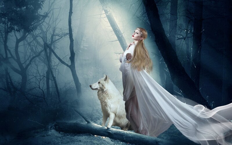 Woman with White Wolf — Mystical, Night, Digital Art