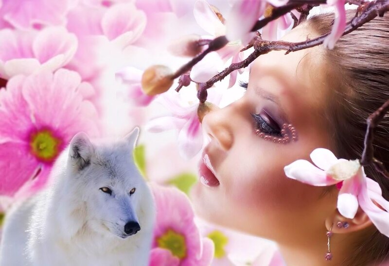 Woman with White Wolf — Pink, Serene