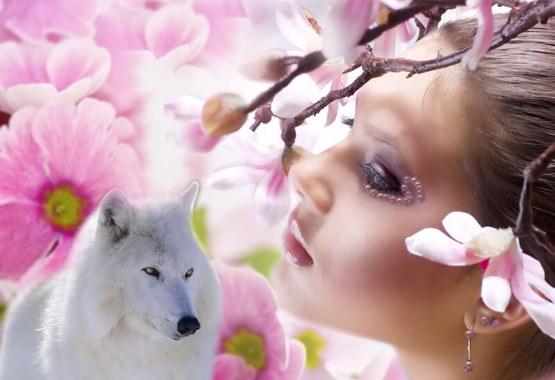 Woman with White Wolf — Pink