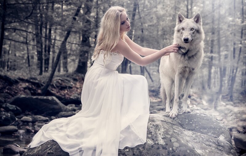 Woman with White Wolf — Serene, Photograph