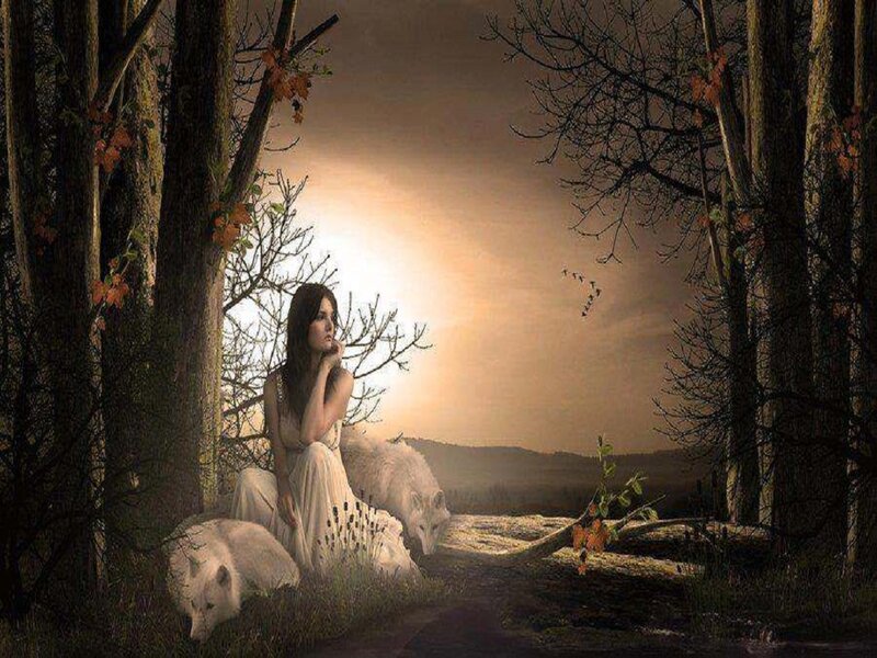 Woman with White Wolves — Brown, Serene