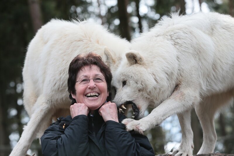 Woman with White Wolves — Playful
