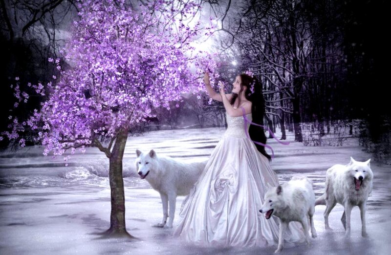 Woman with White Wolves — Purple, Fantasy