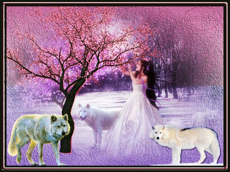 Woman with White Wolves — Purple, Serene, Spring