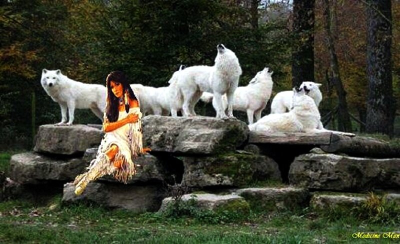 Woman with White Wolves — Serene, Autumn