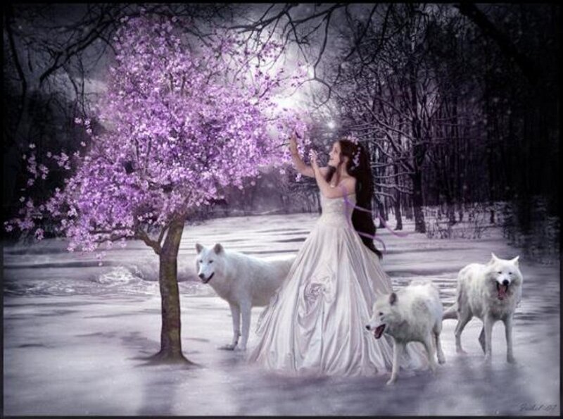 Woman with White Wolves — Serene, Night