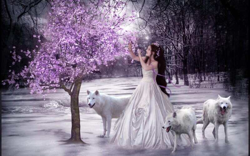 Woman with White Wolves — Serene, Winter, Digital Art, Purple Blossom Tree