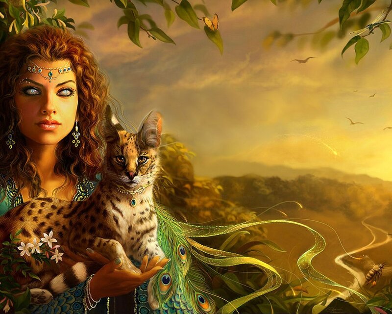 woman with wild cat at sunset