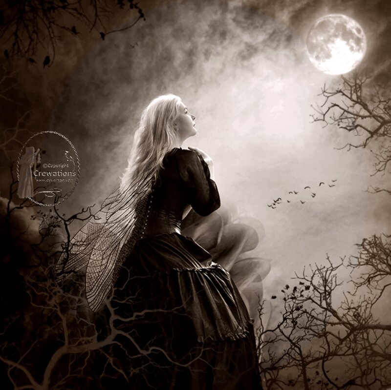 Woman with Wings — Brown, Dramatic, Night