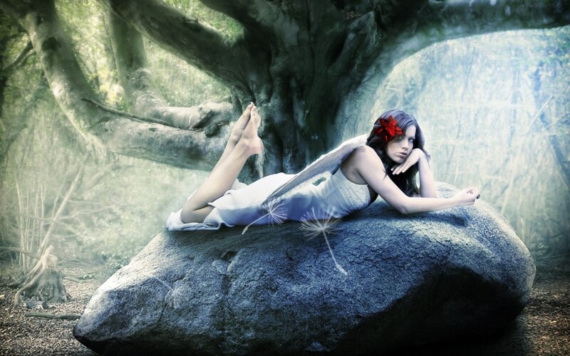 woman with wings in forest