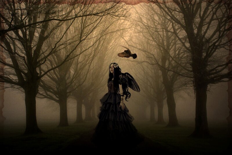 Woman with Wings in Forest — Black, Dark