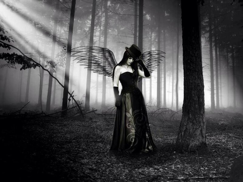 Woman with Wings in Forest — Black, Dramatic, Night