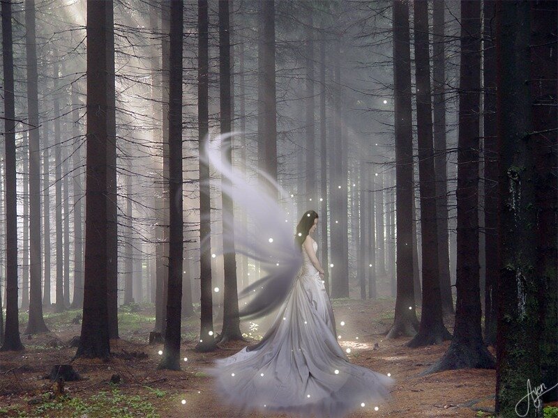 Woman with Wings in Forest — White