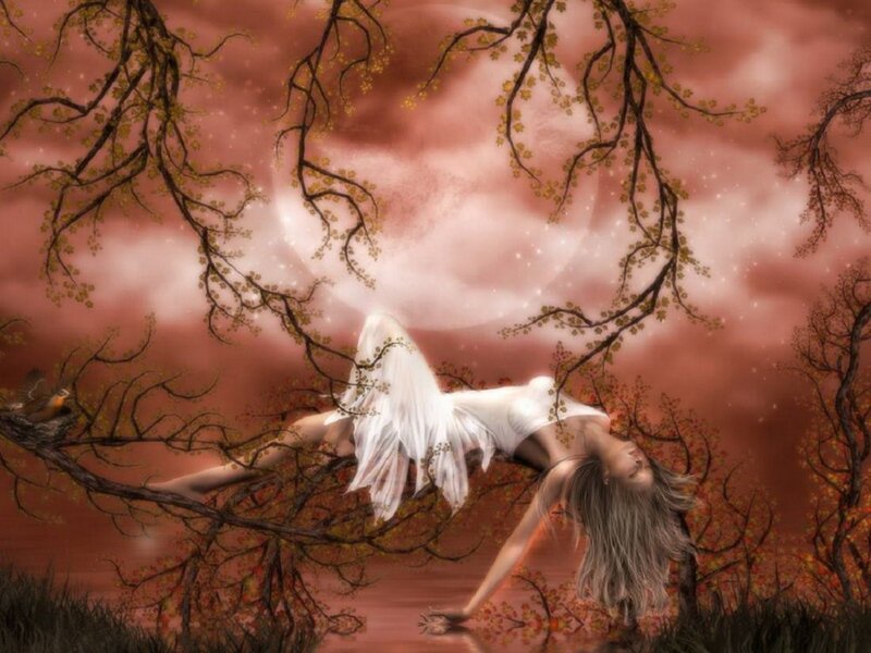 Woman with Wings in Tree