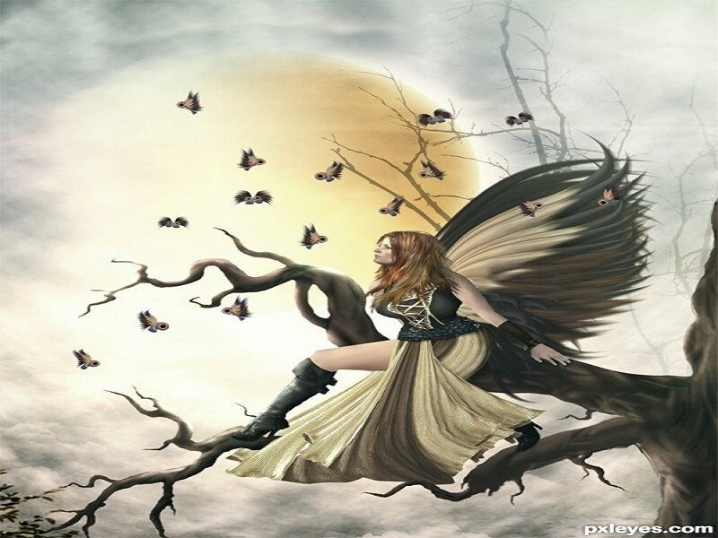 Woman with Wings on Branch