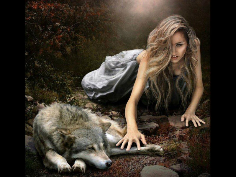 Woman with Wolf — Gray, Dramatic, Autumn