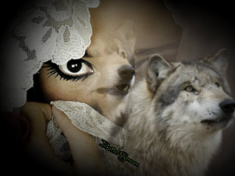 Woman with Wolf — Gray, Dramatic, Digital Art, Lace Veil