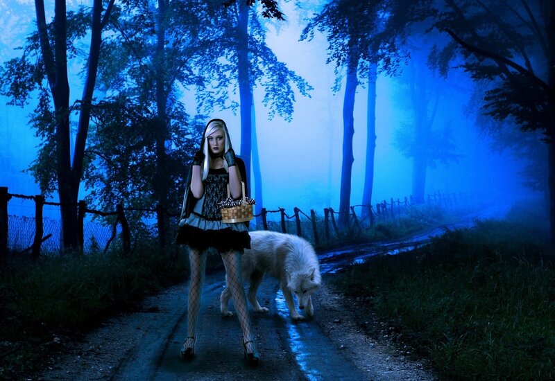 woman with wolf in blue forest