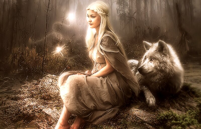 Woman with Wolf in Forest — Brown, Serene, Night