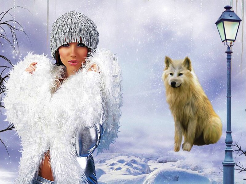 Woman with Wolf in Snow — White