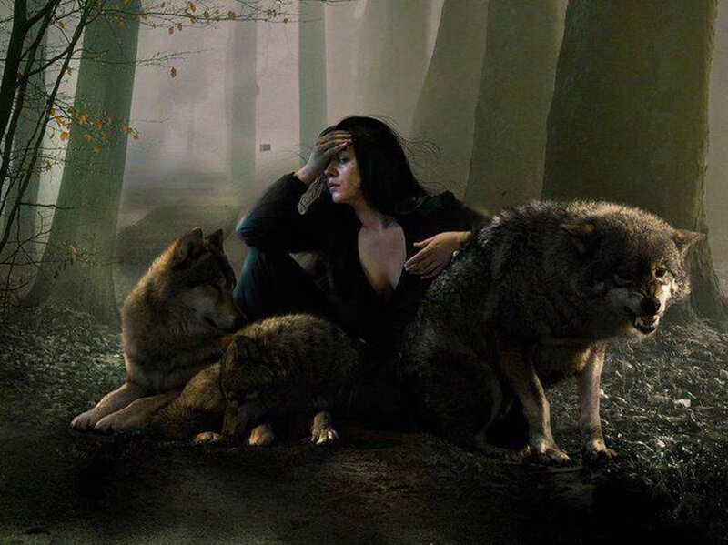Woman with Wolves — Gray, Dramatic, Autumn