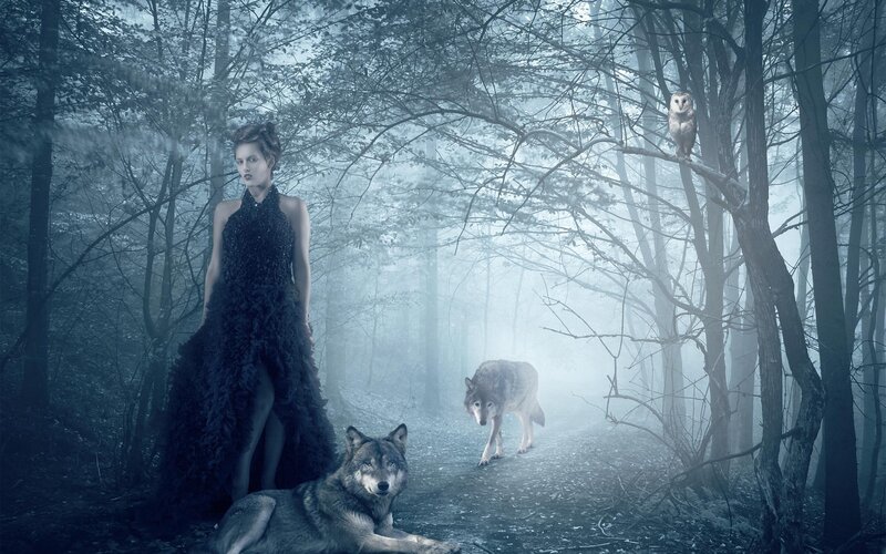 Woman with Wolves in Forest — Blue, Mysterious, Night