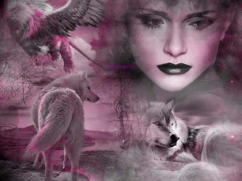 Woman with Wolves — Pink