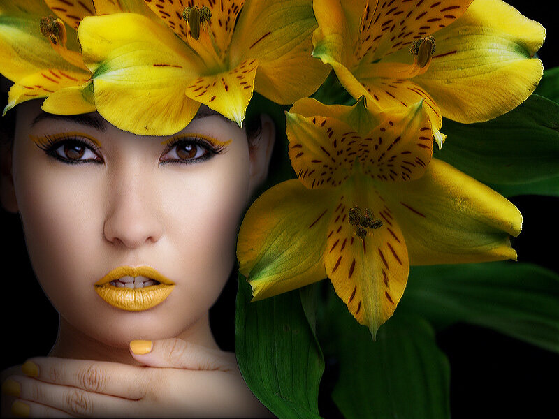 Woman with Yellow Flowers — Dramatic