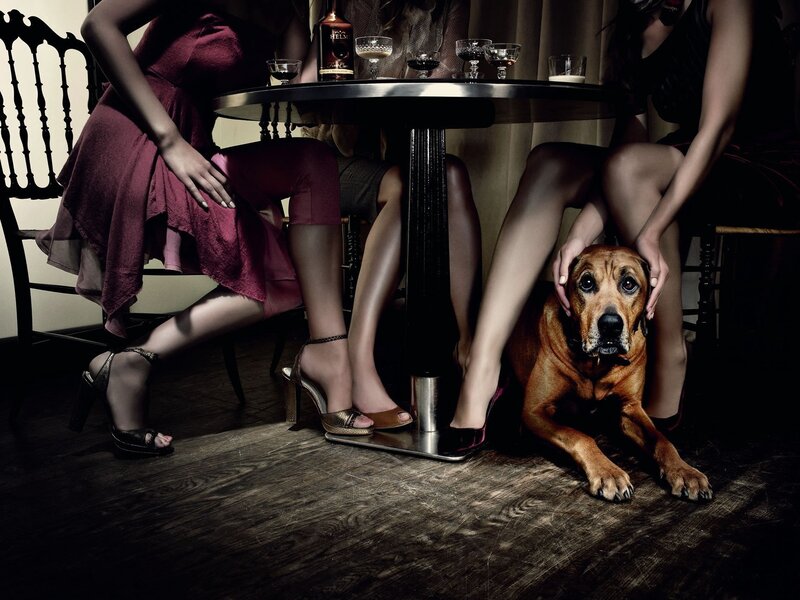 Women and dog at a table