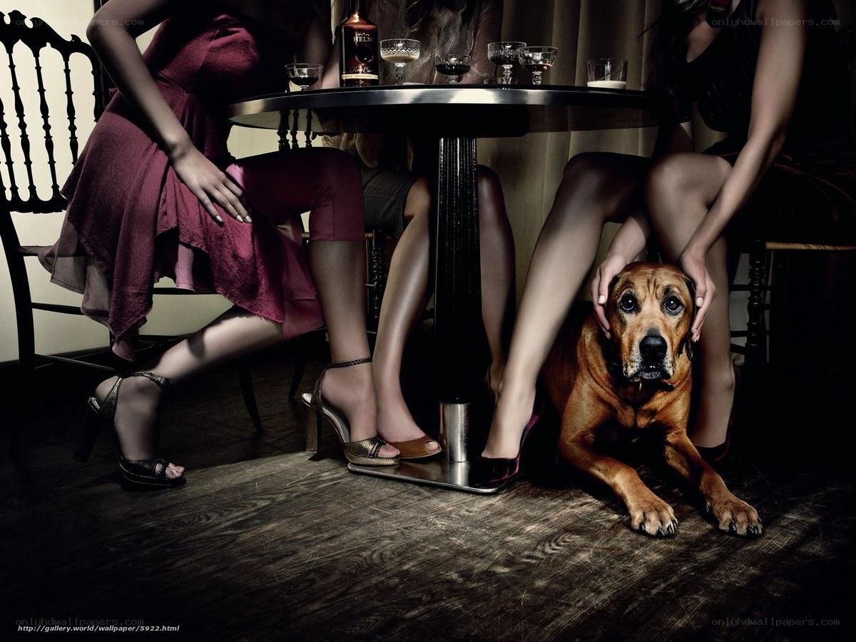 Women and dog at a table