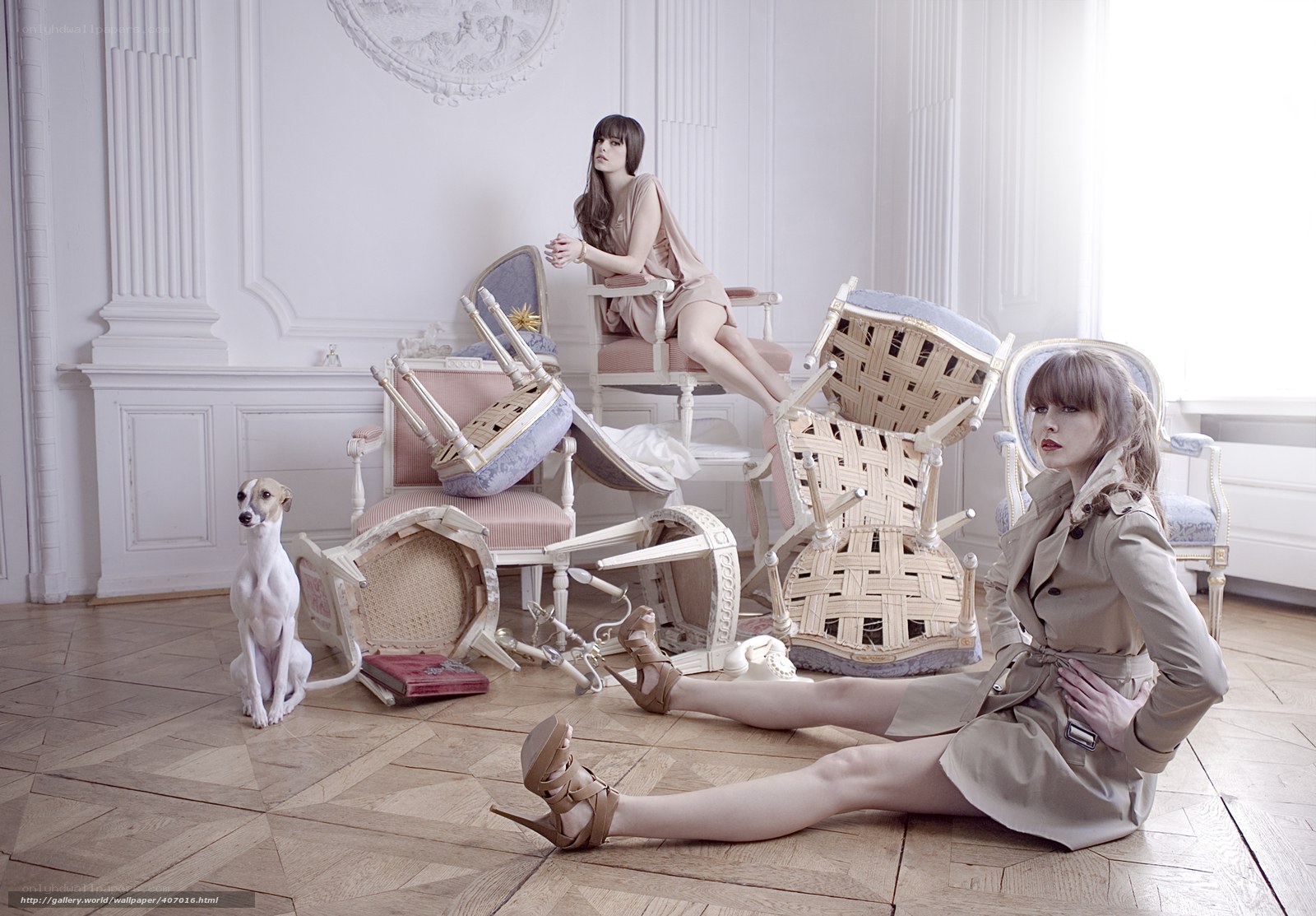 Women and dog in a room with chairs