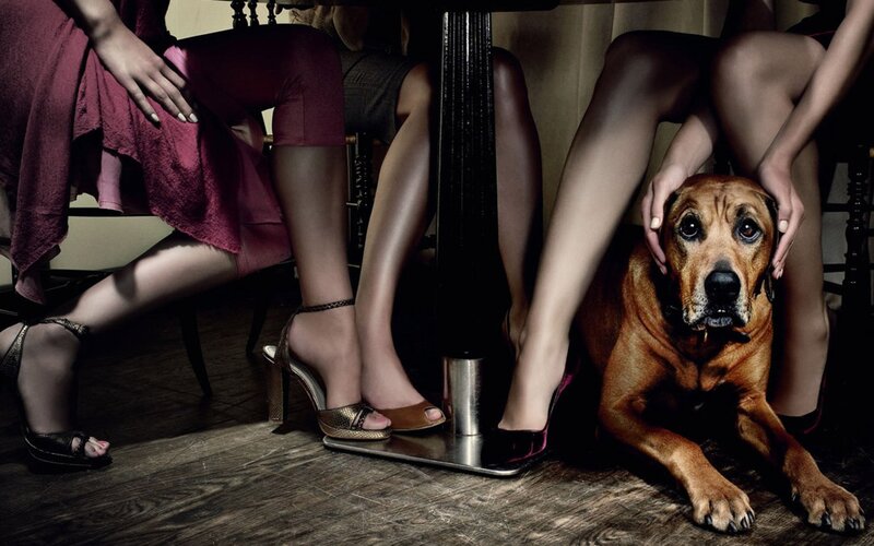 Women and dog under a table