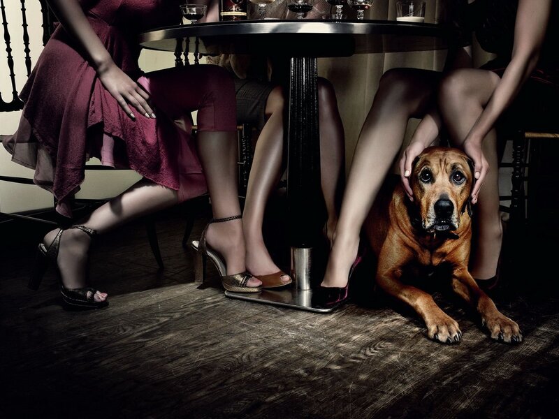 Women and dog under a table