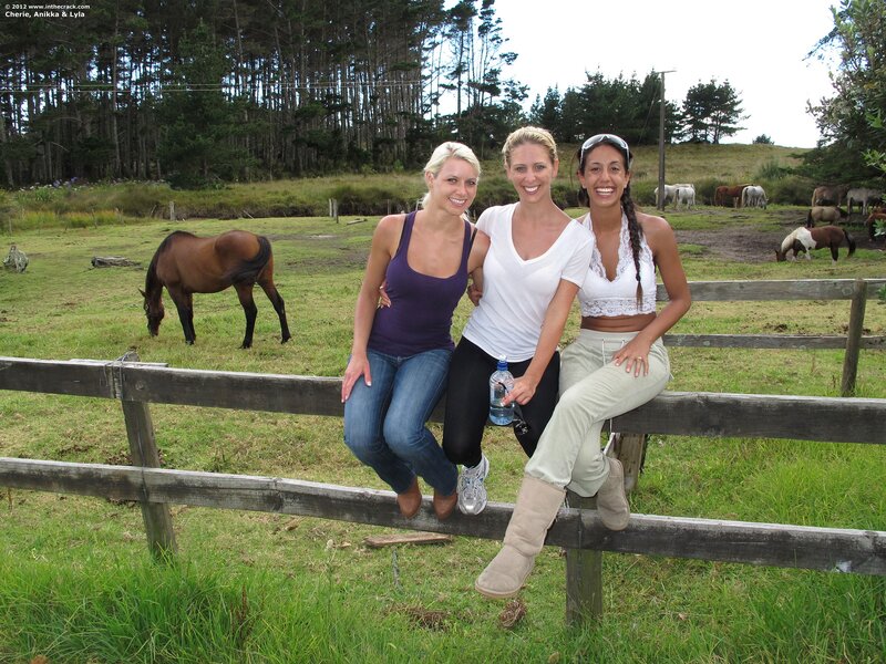 Women at a horse farm