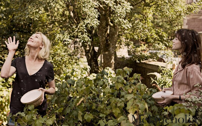 Women harvesting berries in garden