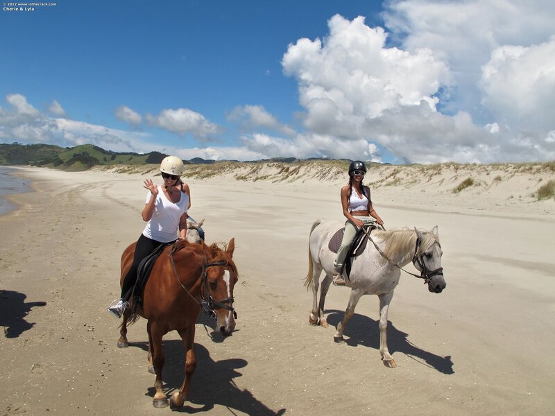 Women horseback riding on beach