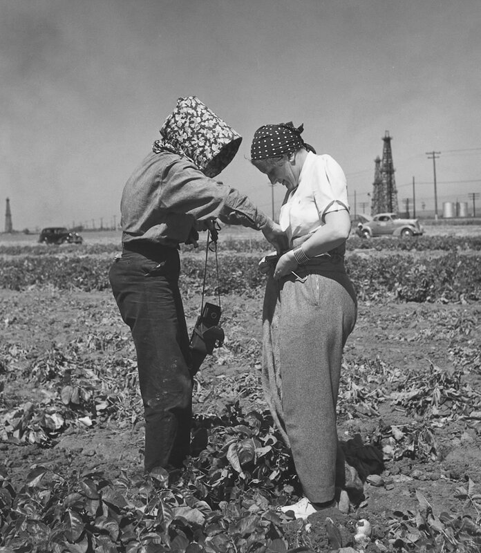 Women in a potato field