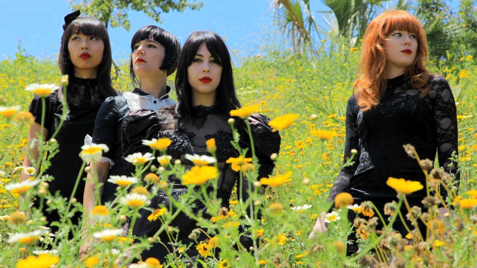 Women in black dresses in a field