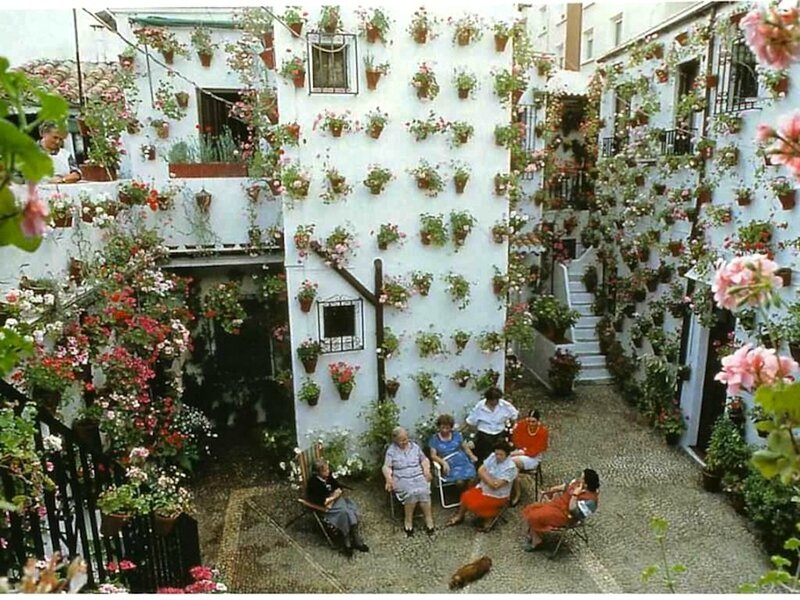 Women in Courtyard — White